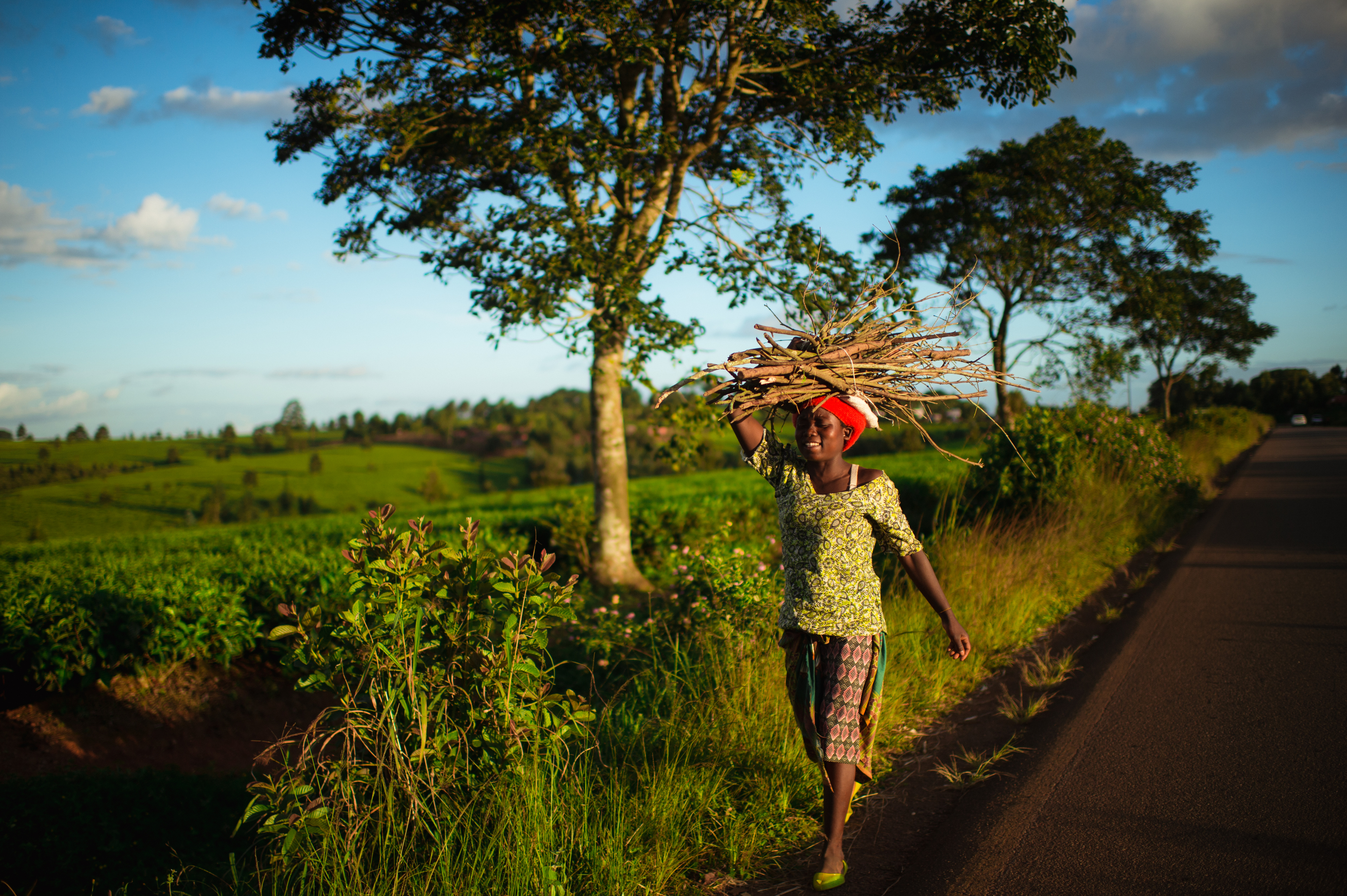 Building More Common Wealth in a Climate-Changed World