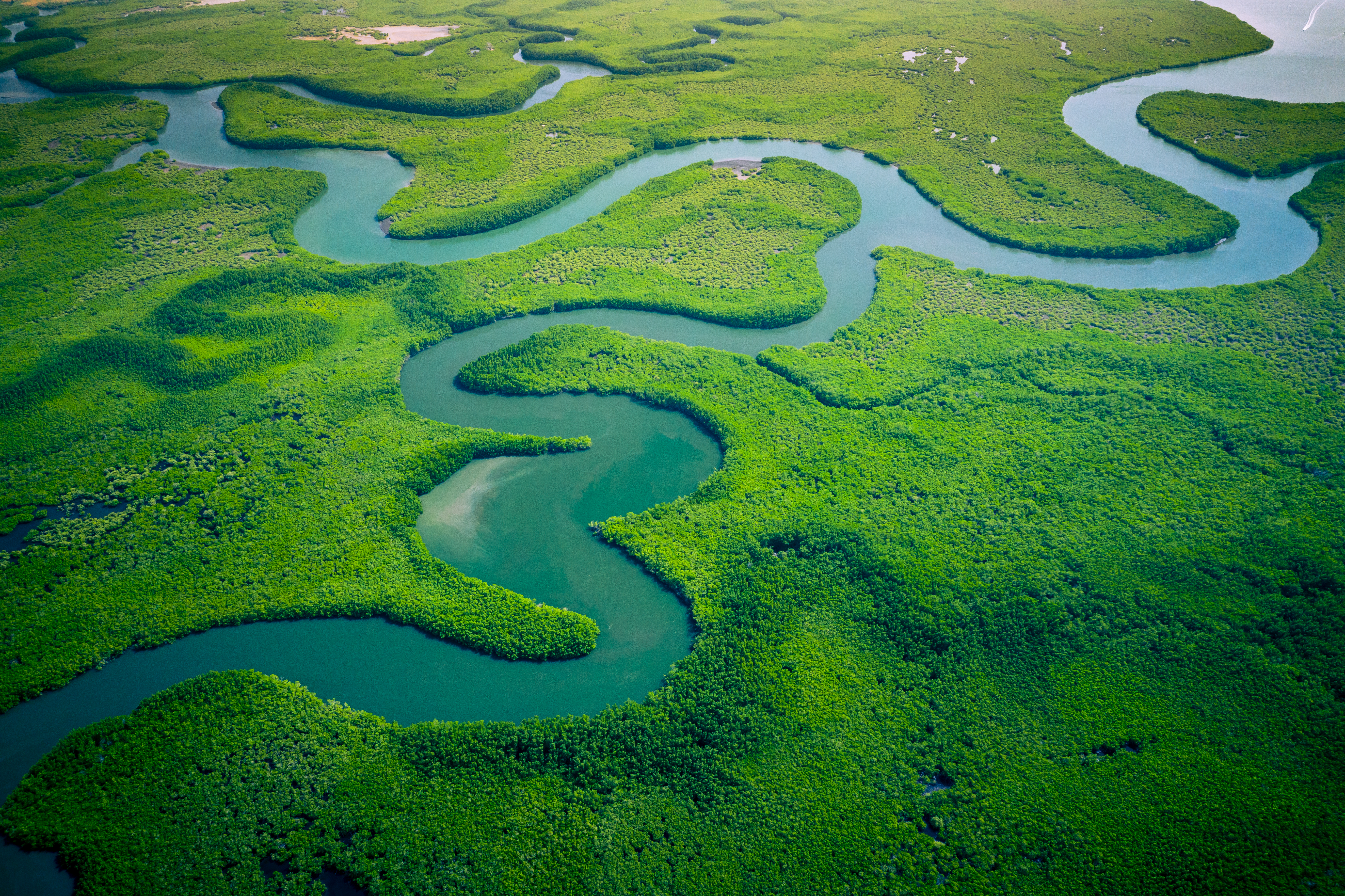 Forging partnerships for climate investments