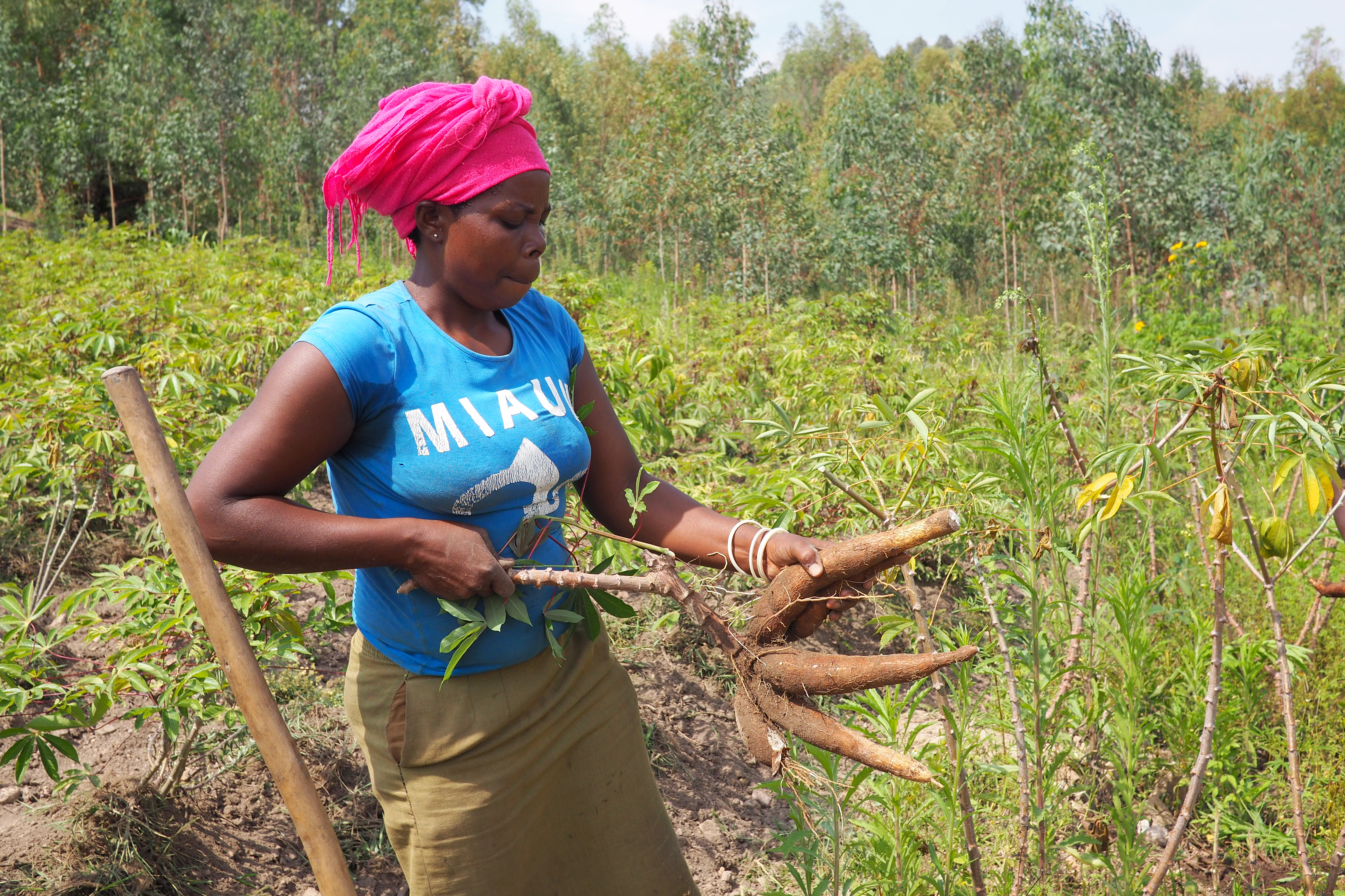 Centering Equity in Climate Action