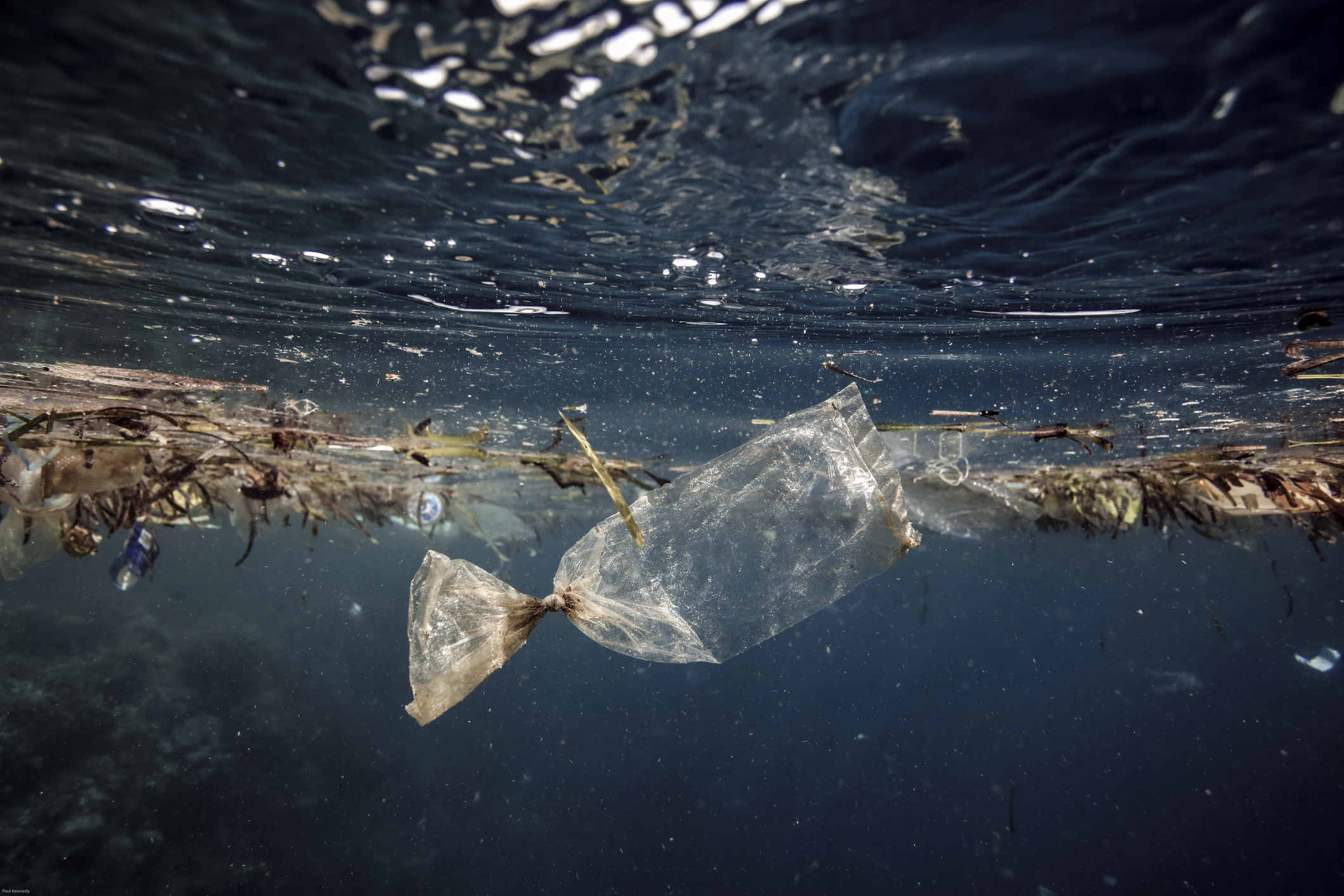 marine debris