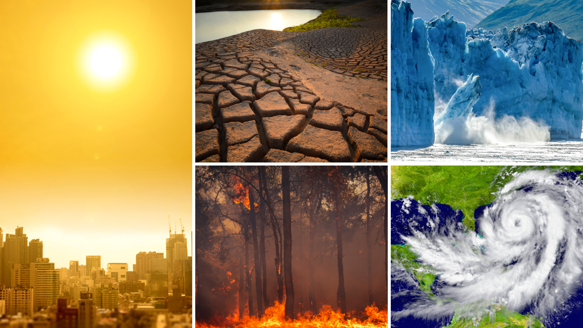 climate and weather collage