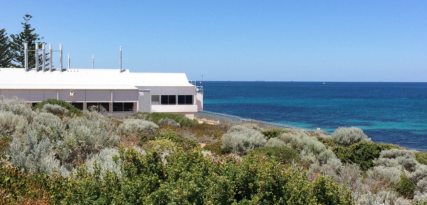 Photo-Induced Toxicity of North West Shelf Oil, Perth, Western Australia