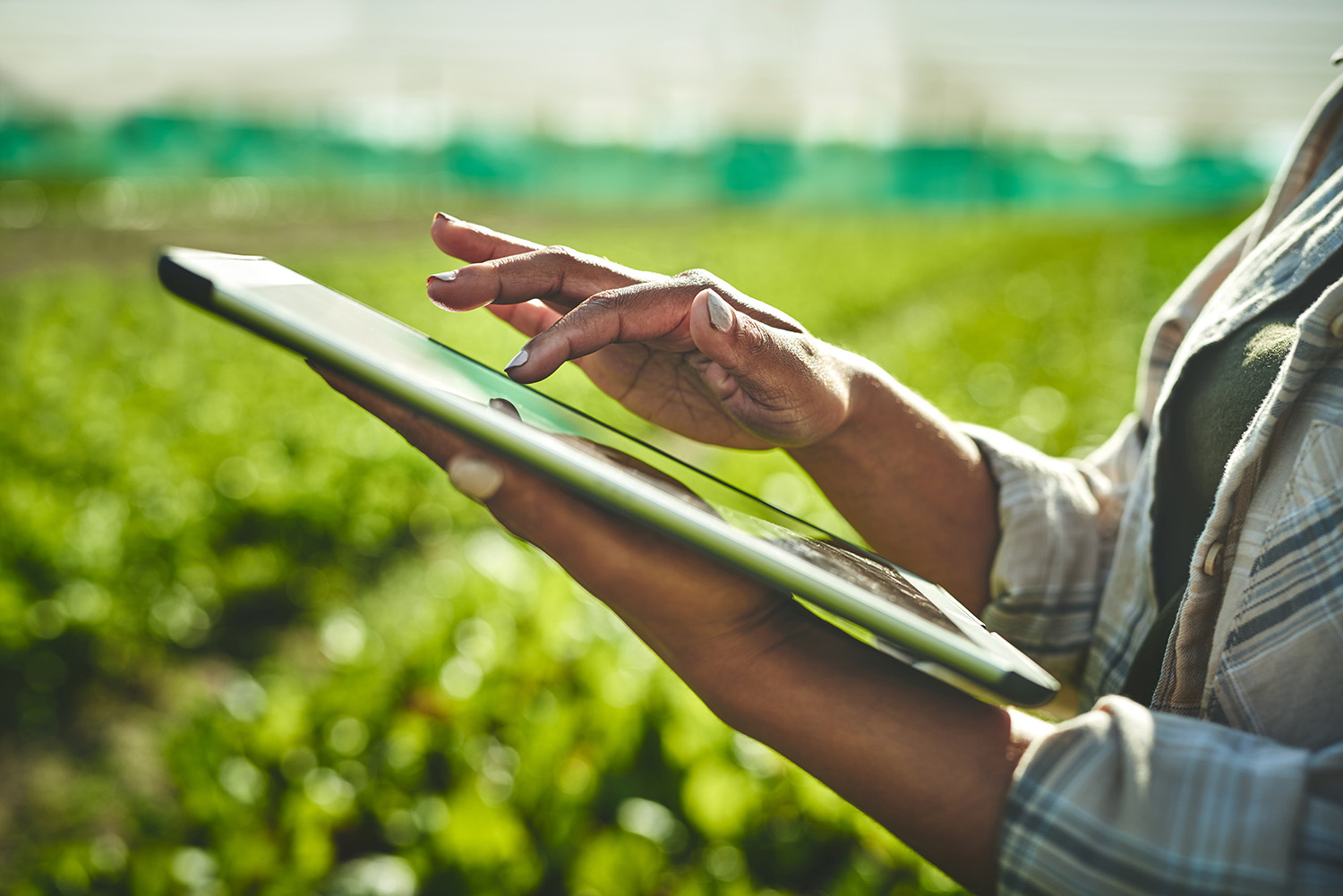 Empowering Women as Change Agents in the Green Economy