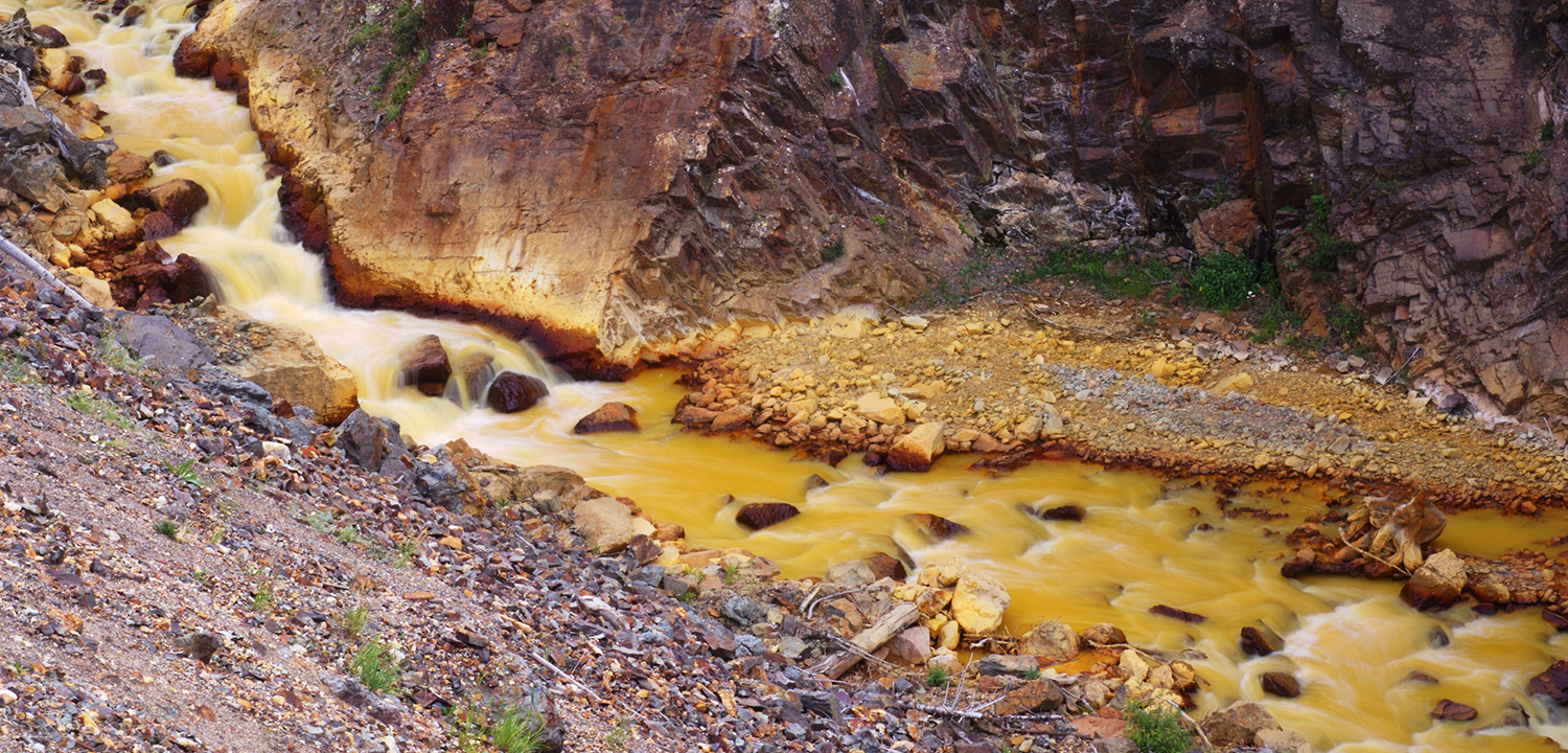 Metals Toxicity in Aquatic Environments