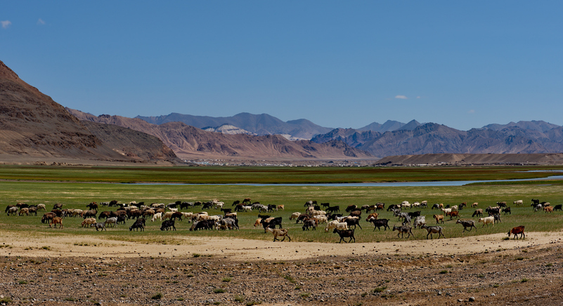 In Tajikistan, a Step Towards Methane Reduction