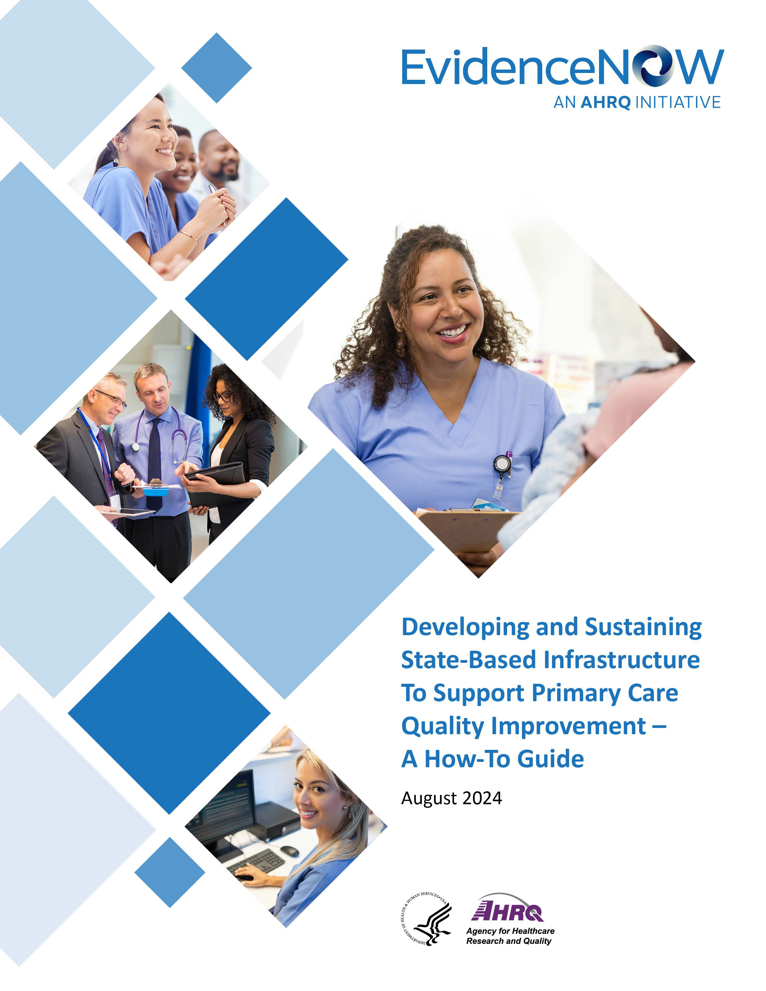 Developing and Sustaining State-Based Infrastructure To Support Primary Care Quality Improvement