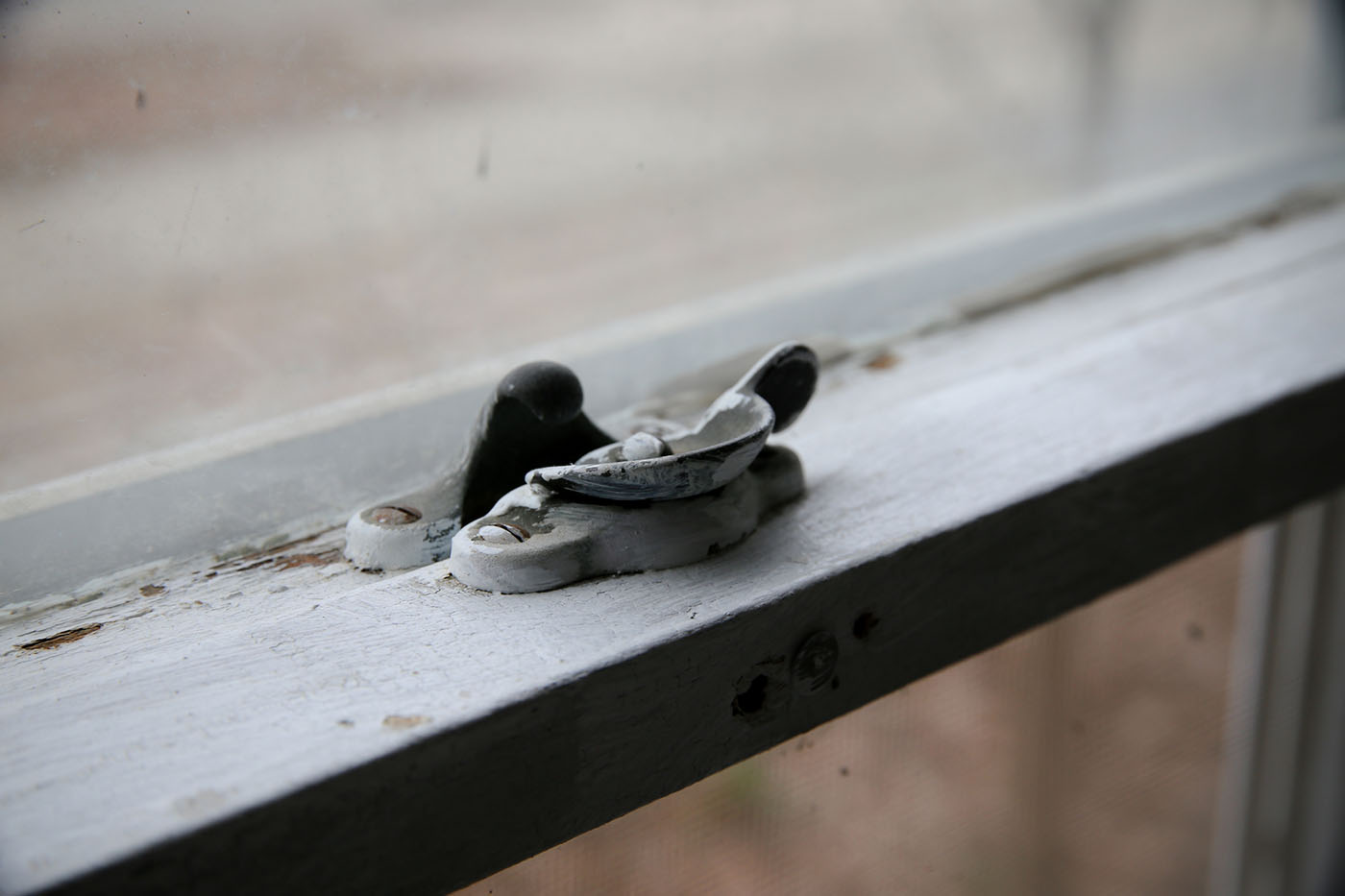 Case Study of the Benefits of Lead-Based Paint Remediation