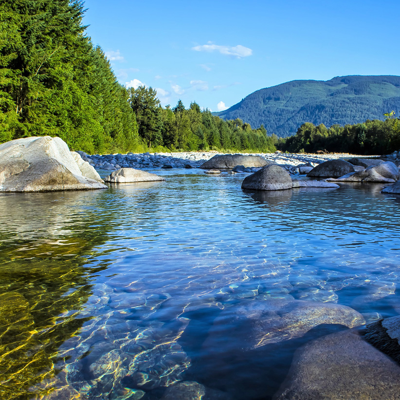 Natural Resource Damage Assessment (NRDA) and Restoration Services