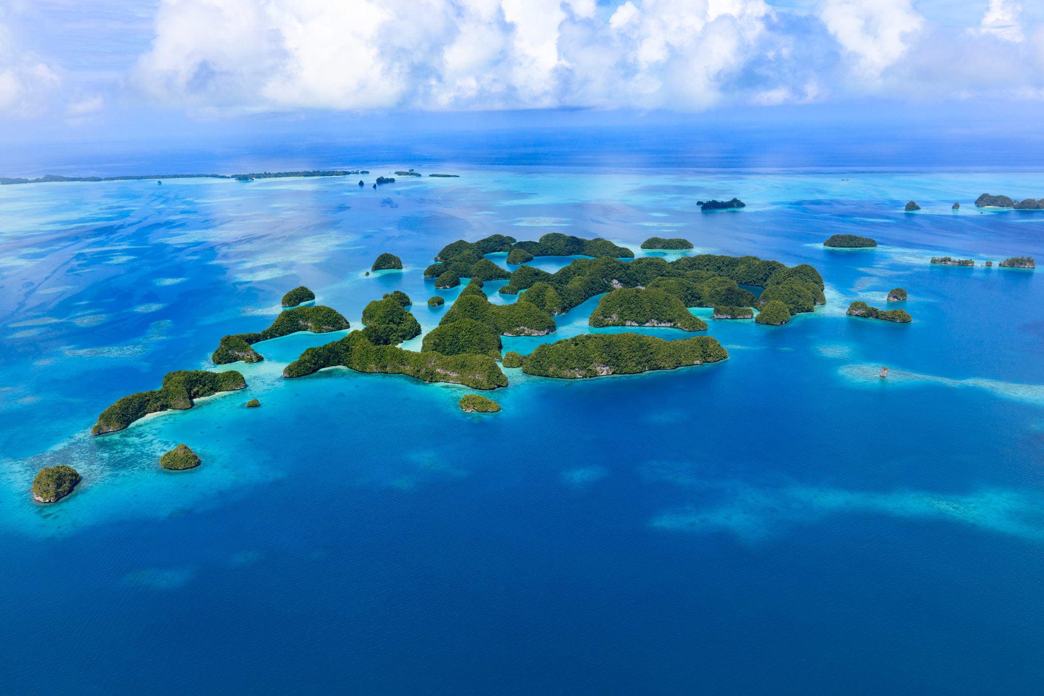 Nature & Biodiversity