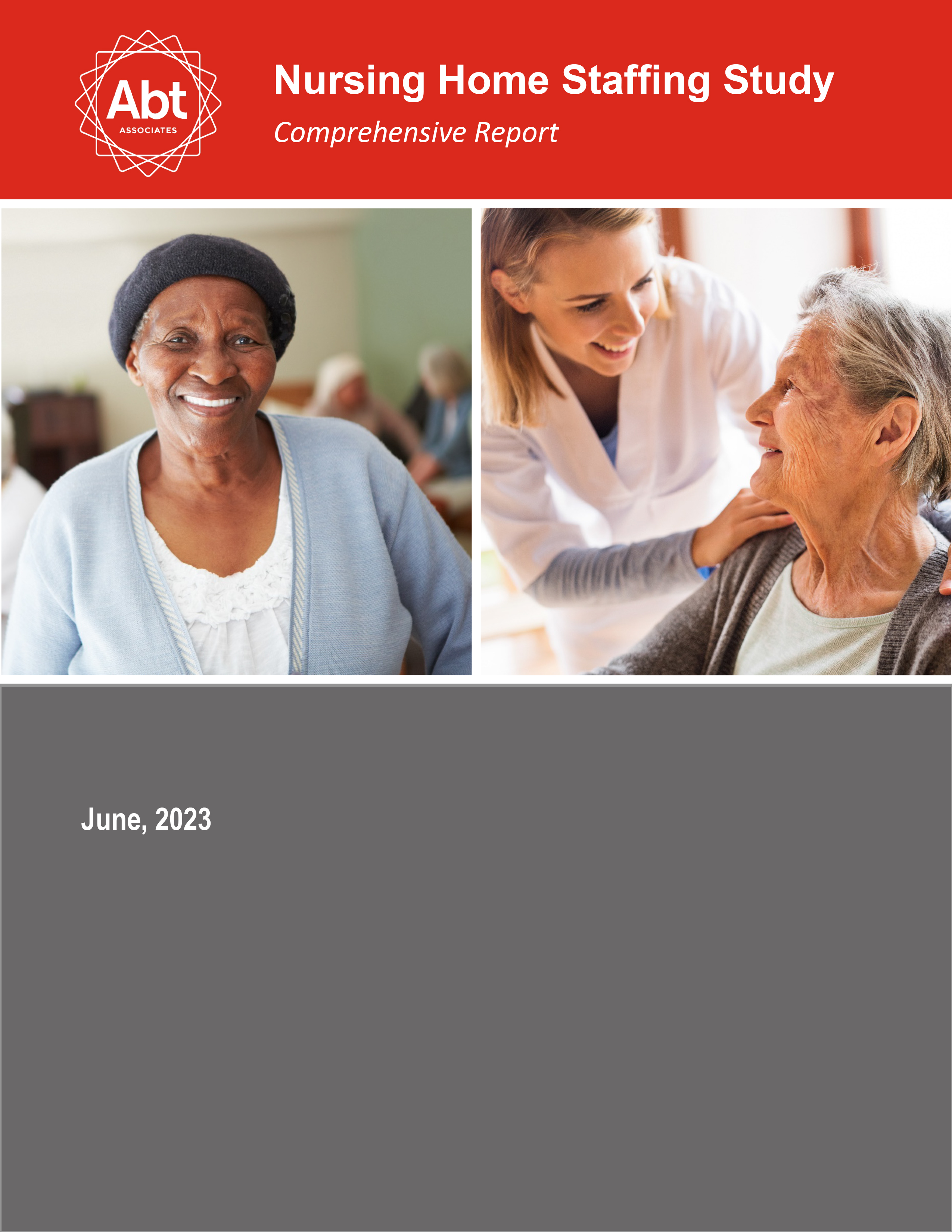 NH staffing study final report cover