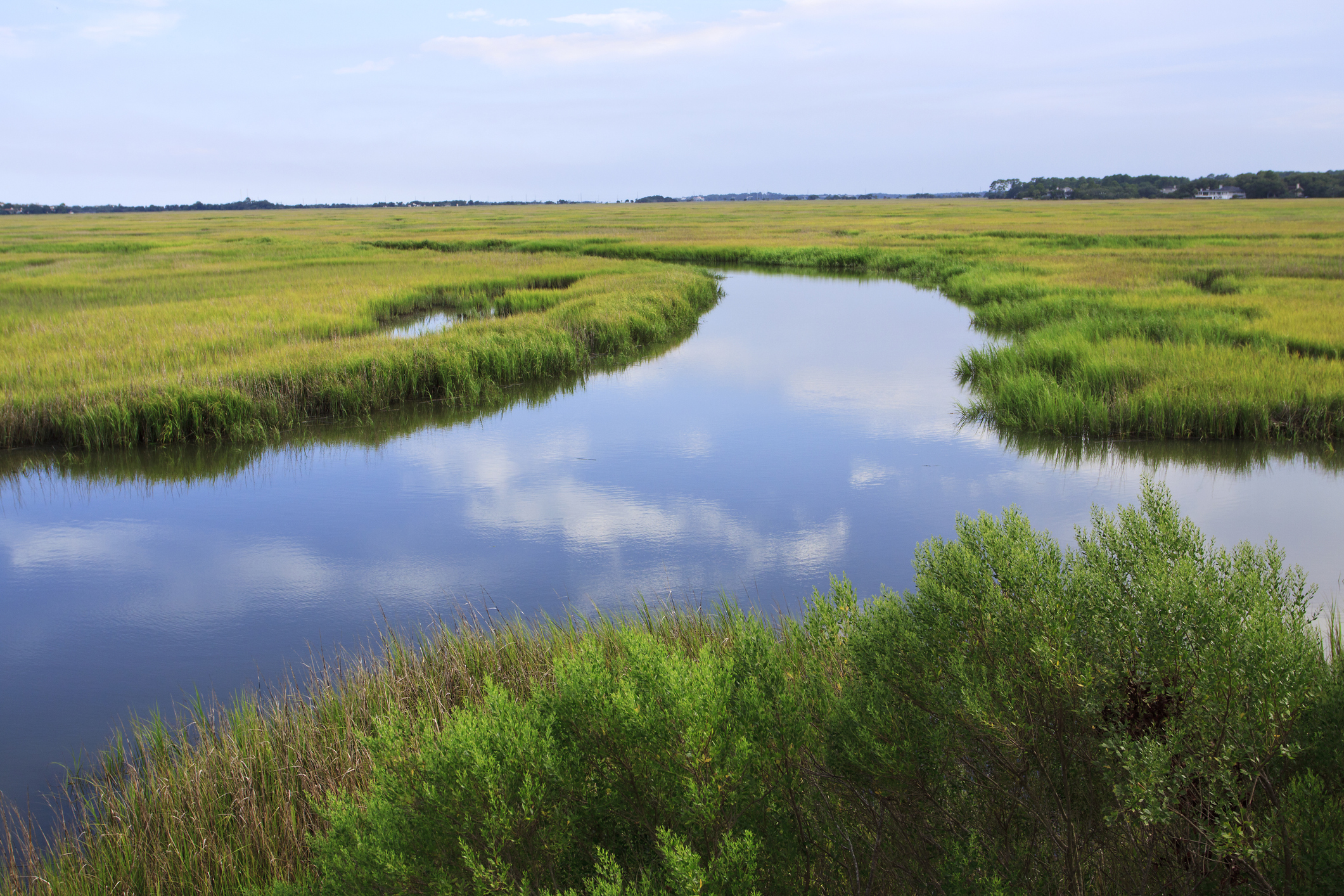 Clean Air, Water & Land