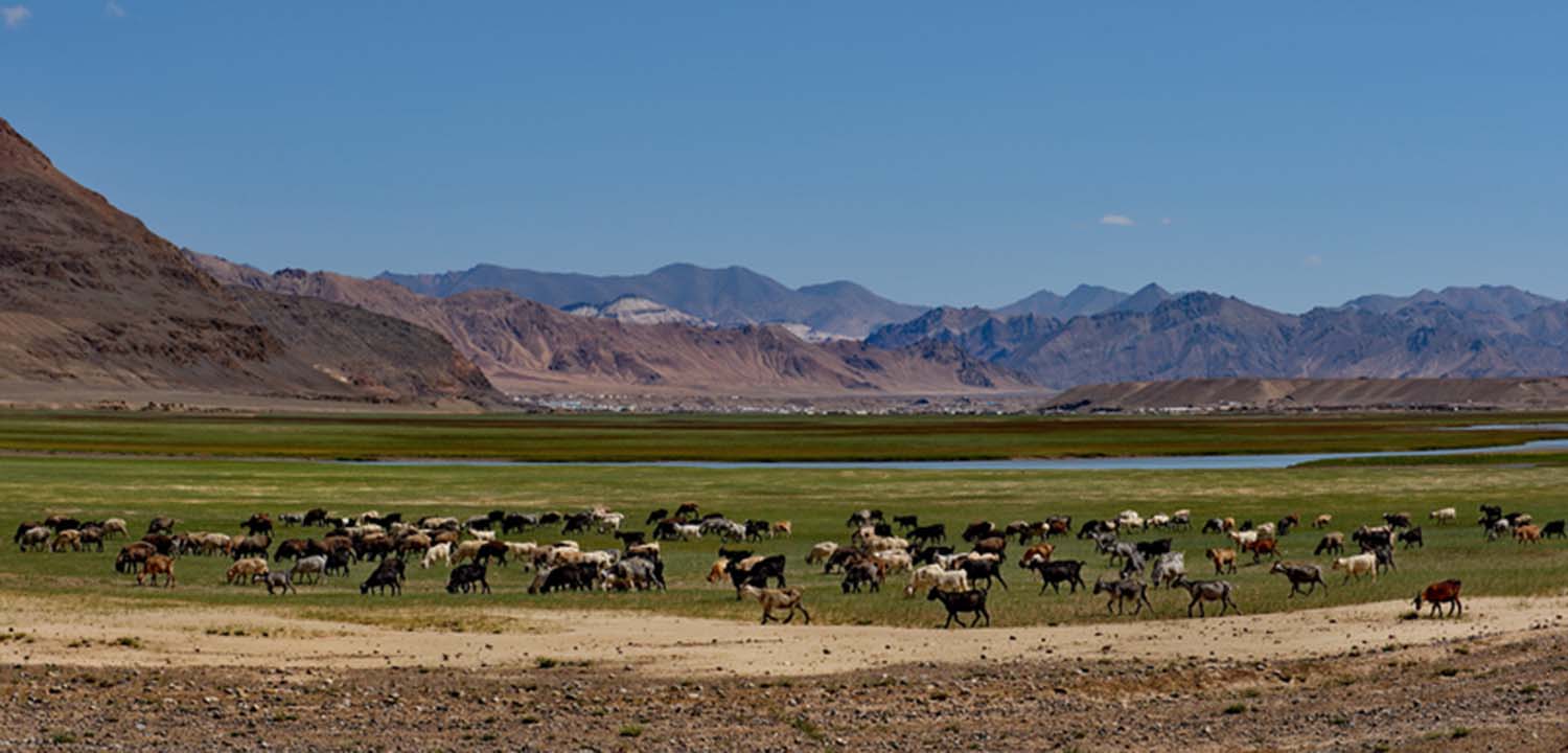 Tracking and Monitoring Methane Emissions and Reductions