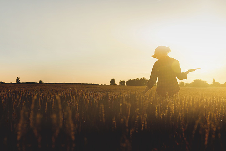 silhouette of a woman walking through a farm field