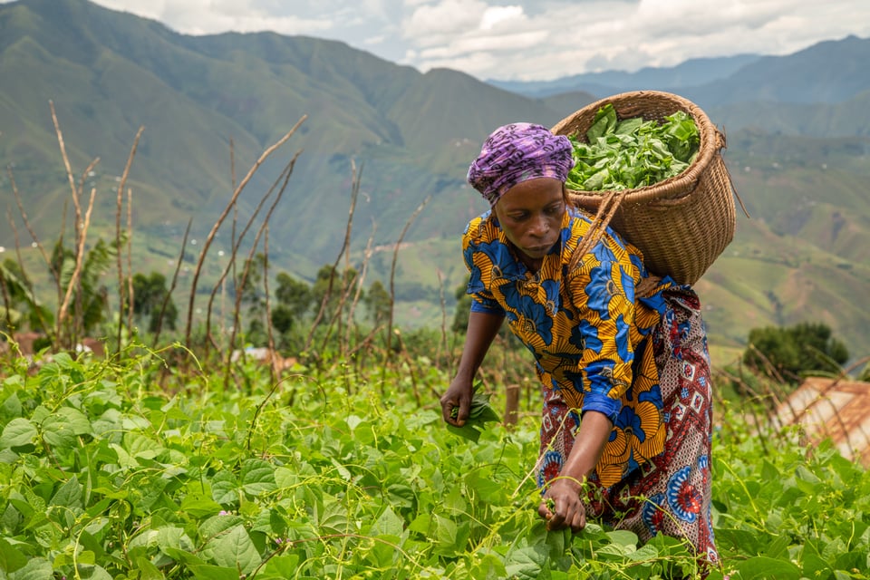woman farming in the DRC