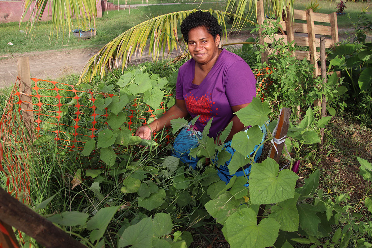 Fiji market gardener