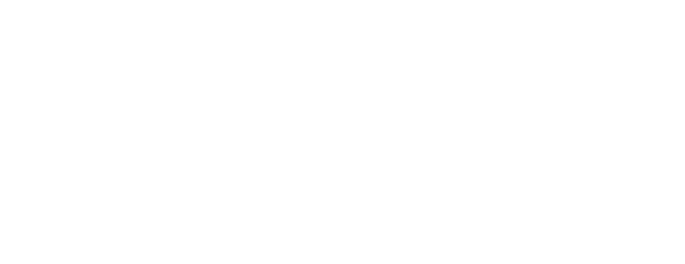 appian logo in white