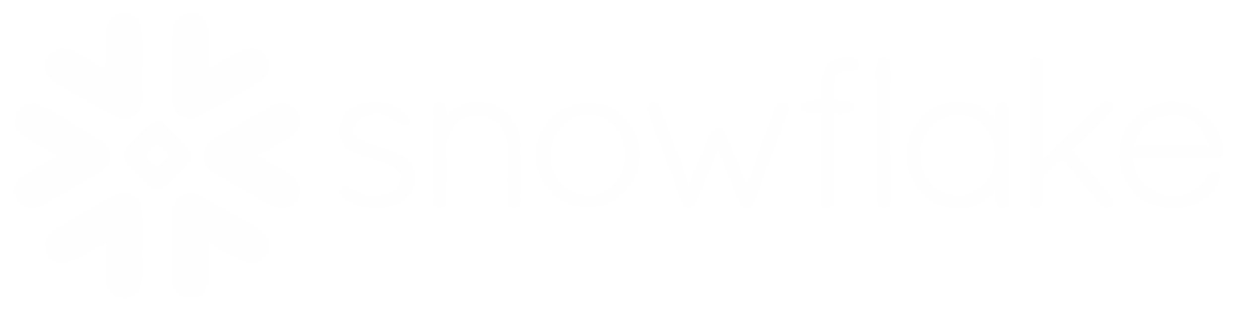 Snowflake logo in white