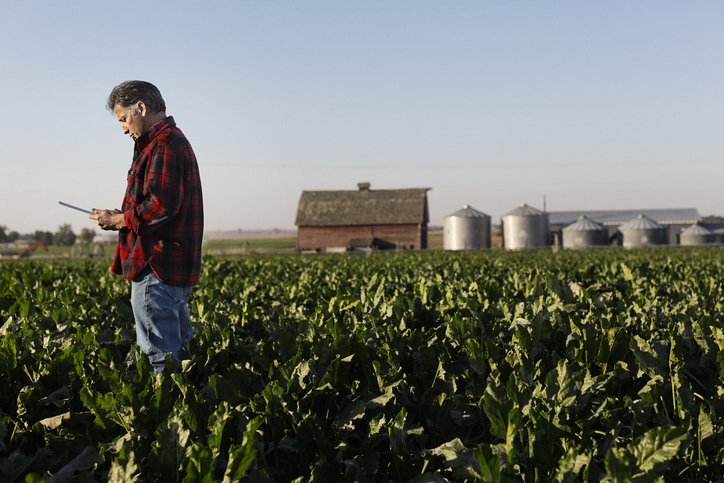 Hispanic farmer using tablet computer in crop field