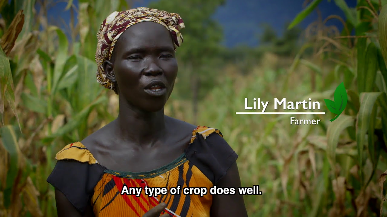 From the Ground Up: Rebuilding Agricultural Systems in South Sudan