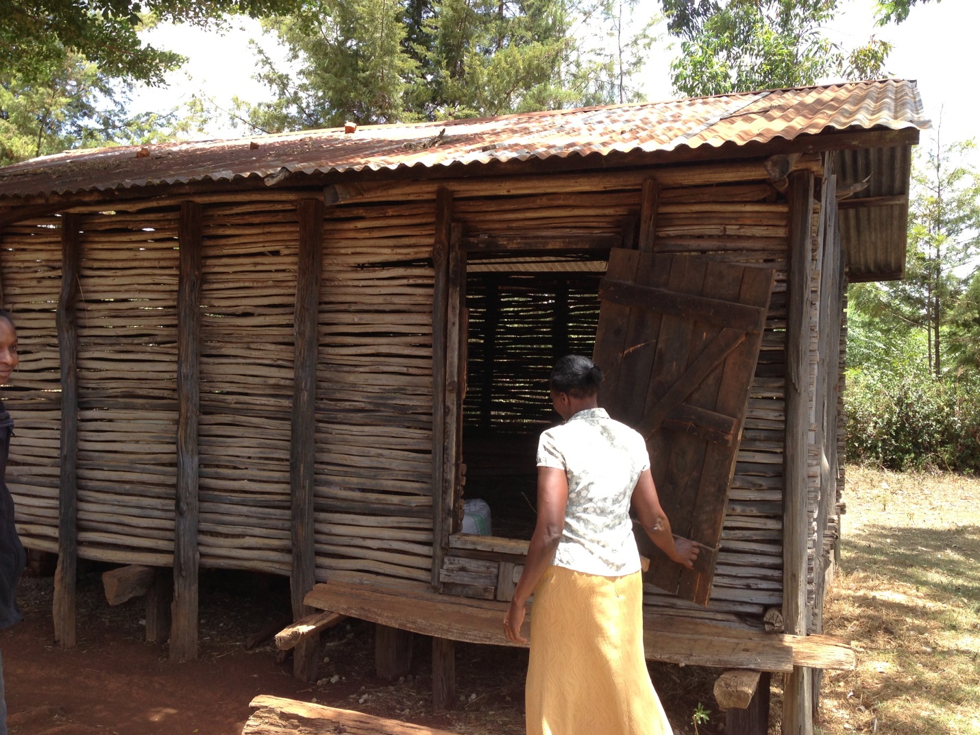 During the baseline study for the Kenyan On-Farm Storage Solutions pilot project, a smallholder farmer shows researchers how she stores grain.