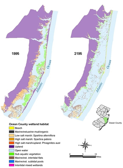 Maps of Ocean County, New Jersey developed by Abt Global' staff.