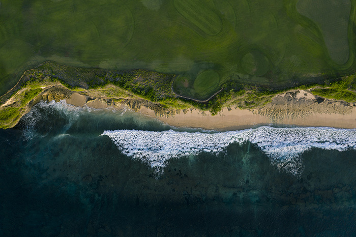 5 Ways Better Governance Can Help Fix the Nature Crisis