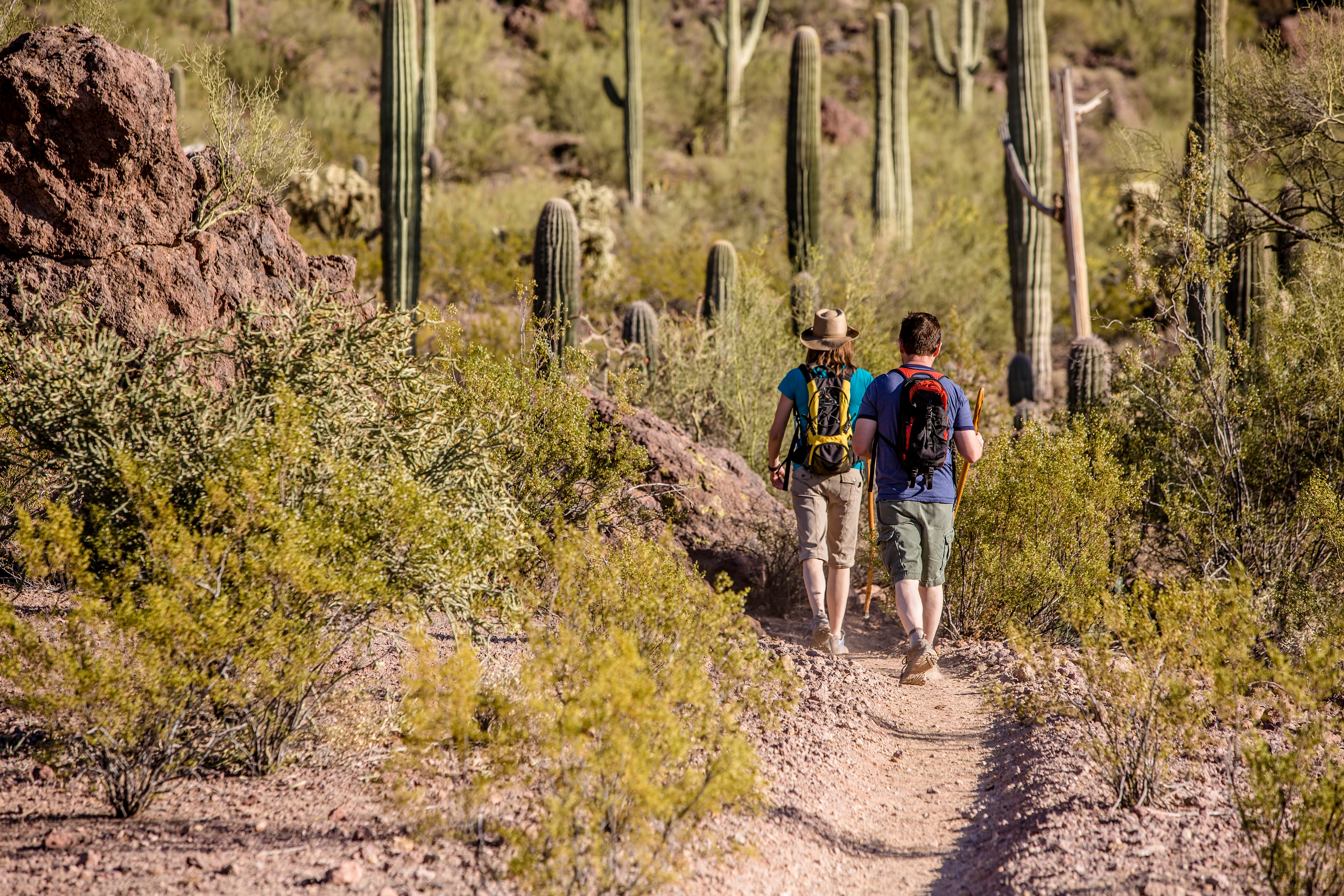 two hikers in a south west american desert