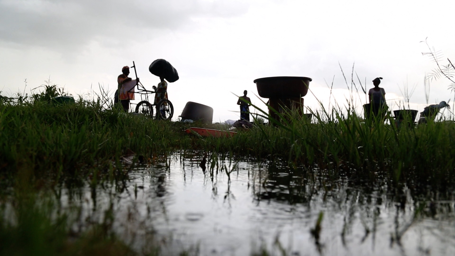 Bolstering Global Health Security in a Changing Environment