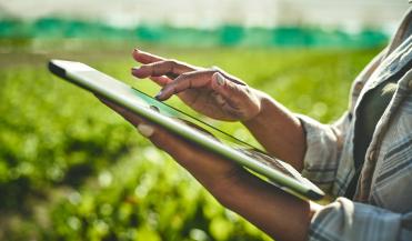 farmer using a digital tablet in a field