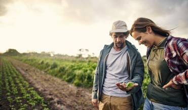 organic farmers in their field examining soil
