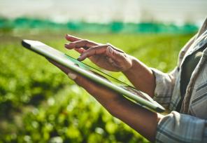 farmer using a digital tablet in a field