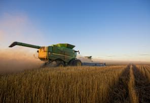Agriculture & Food Security