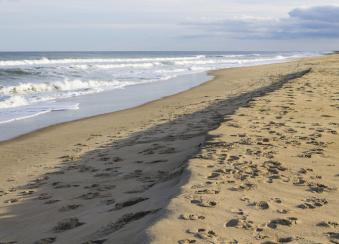 Costal waters