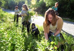 volunteers doing cleanup on the side of the road in bethesda