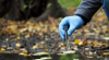 Environmental Research, Assessment & Restoration