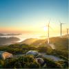 Climate, Environment & Energy – July 2024