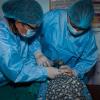 Engaging Nepal’s Private Health Sector to Improve Health Outcomes