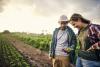 two organic farmers talking in their field