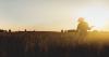 silhouette of a farmer in a field
