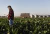 Hispanic farmer using tablet computer in crop field
